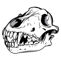 wolf-skull-preview