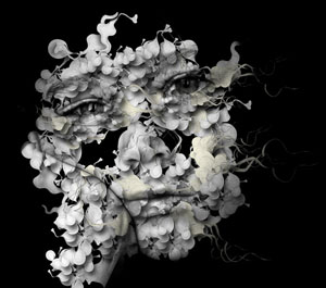 569201199961132 Alberto  Seveso