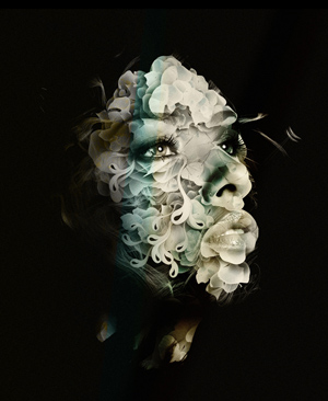 569201228313393 Alberto  Seveso