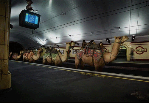 16 Big Ideas, Great Photos