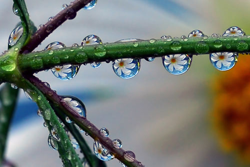 17 Big Ideas, Great Photos