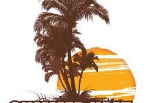 summer illustration