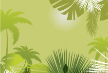 tropical-background
