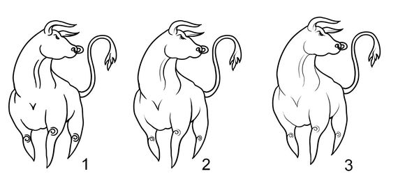 bull sketch Quick Tip: Free hand drawing brushes setup for Illustrator