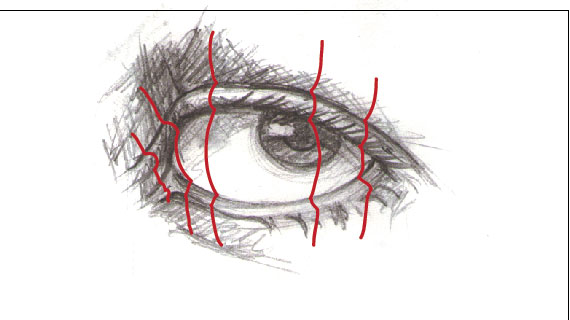213 Drawing vector portraits Part 2: The eyes