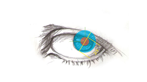 312 Drawing vector portraits Part 2: The eyes