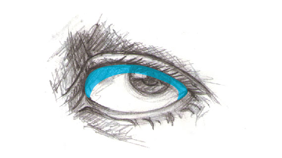 510 Drawing vector portraits Part 2: The eyes