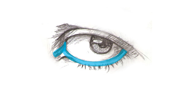 67 Drawing vector portraits Part 2: The eyes