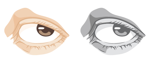 final4 Drawing vector portraits Part 2: The eyes
