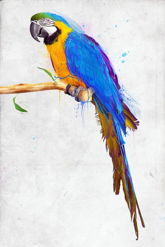 parrot Photoshop Tutorials Roundup   March, 2010