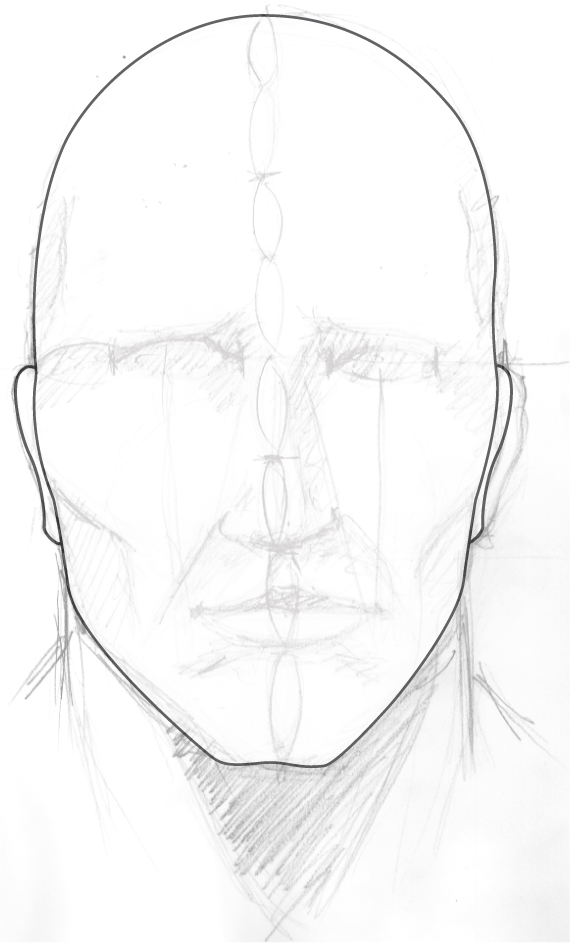 human face structure drawing
