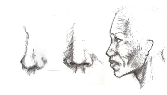 nose profile drawing