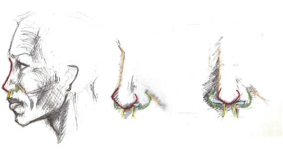 210 Drawing vector portraits Part 3: The Nose