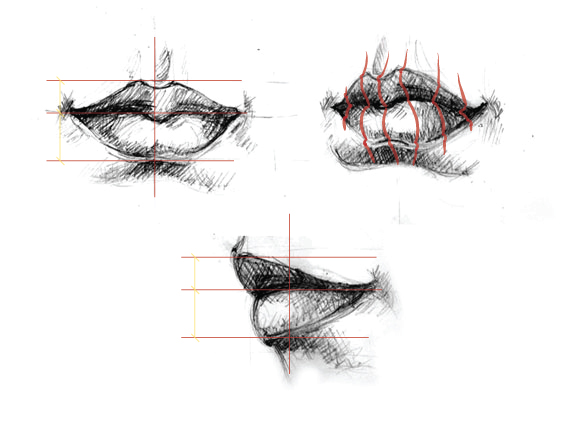 Profile Of Mouth