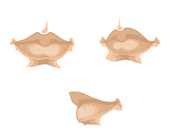 3563 Drawing vector portraits Part 4: The Lips