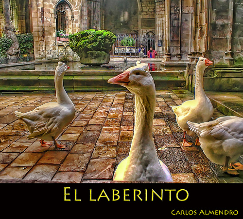 3906837839 c9d944514d 30+ Stunning HDR photos of animals