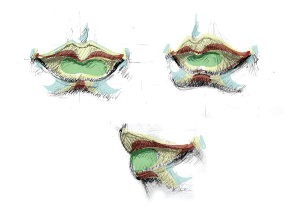 410 Drawing vector portraits Part 4: The Lips
