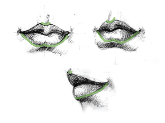 510 Drawing vector portraits Part 4: The Lips