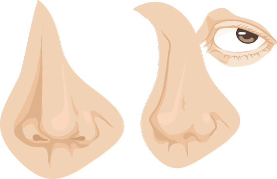 53 Drawing vector portraits Part 3: The Nose