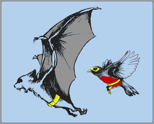 BatBuddy Fullpic 1 Designers Break: Extremely hilarious T shirt designs