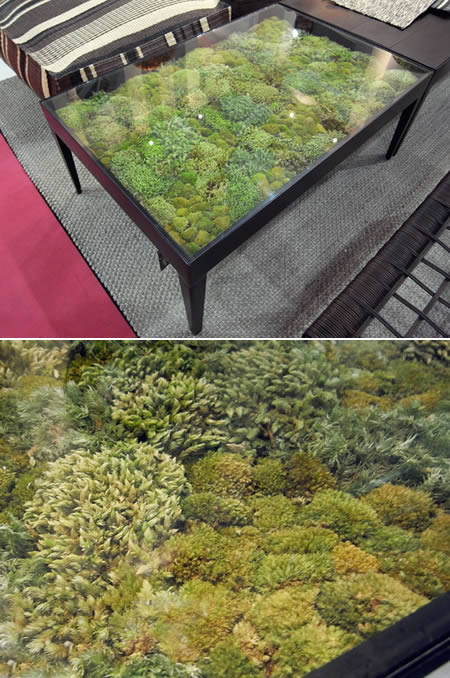 a97065 g044 12 moss 10 Most Creative Coffee Tables