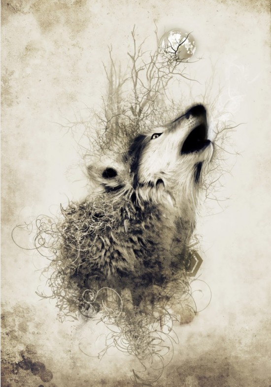 akarwolf 550x786 Artist of the Week   DrFranken