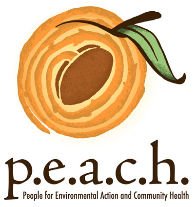 peach logo Showcase of Cool Fruit Logos