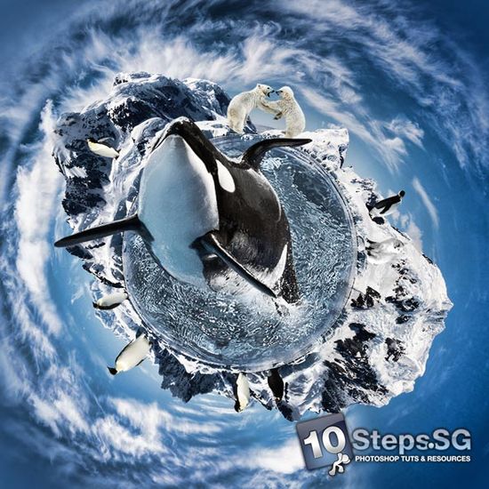 final whale Photoshop Tutorials Roundup: August 2010