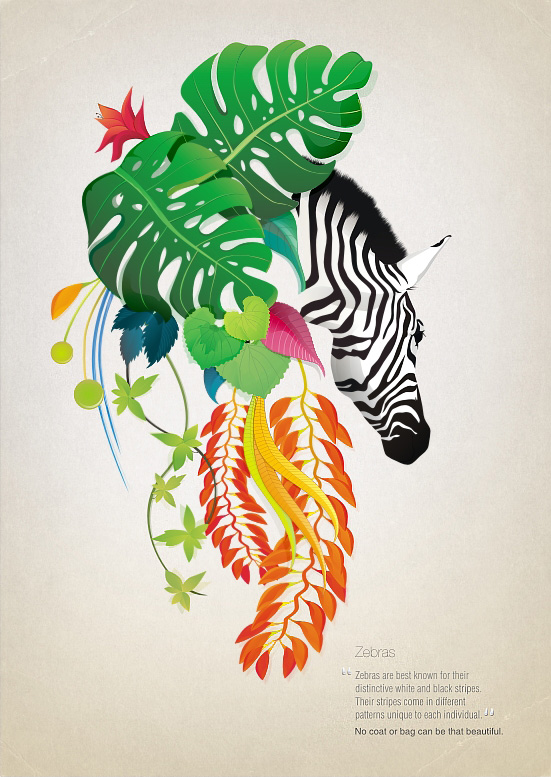 nature and zebra design Interview with Graphic Designer Helen Gizi