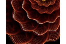 fractal design 1