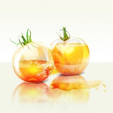 yellow tomatoes photoshop tutorial