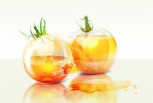 yellow tomatoes photoshop tutorial