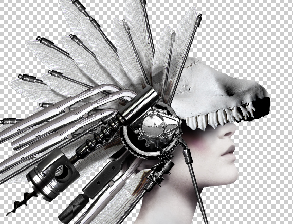 34.1 designioustimes conceptual headdress photoshop tutorial How to Create a Conceptual Headdress in Photoshop