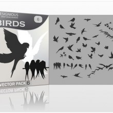 designious-birds-vector-pack-6-preview-1