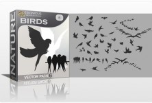 designious-birds-vector-pack-6-preview-1