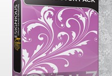 designious-floral-mega-pack-7-preview-1_THUMB2