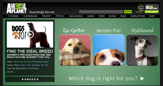 Animal Planet Website Color Psychology in Web Design   Big Websites Case Studies