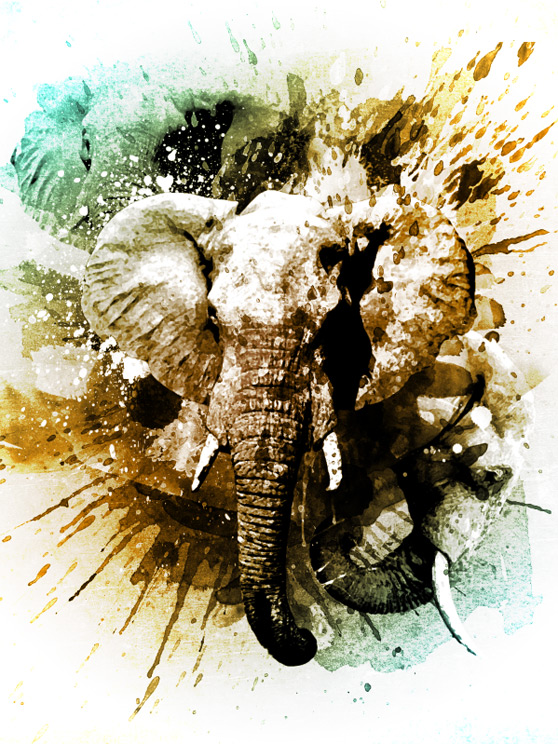 elephant tutorial photoshop wegraphics Photoshop Tutorials Roundup   May 2011