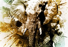 elephant-tutorial-photoshop-wegraphics_THUMB