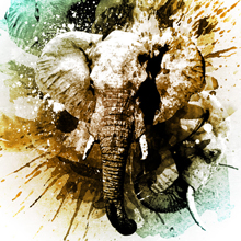 elephant-tutorial-photoshop-wegraphics_THUMB