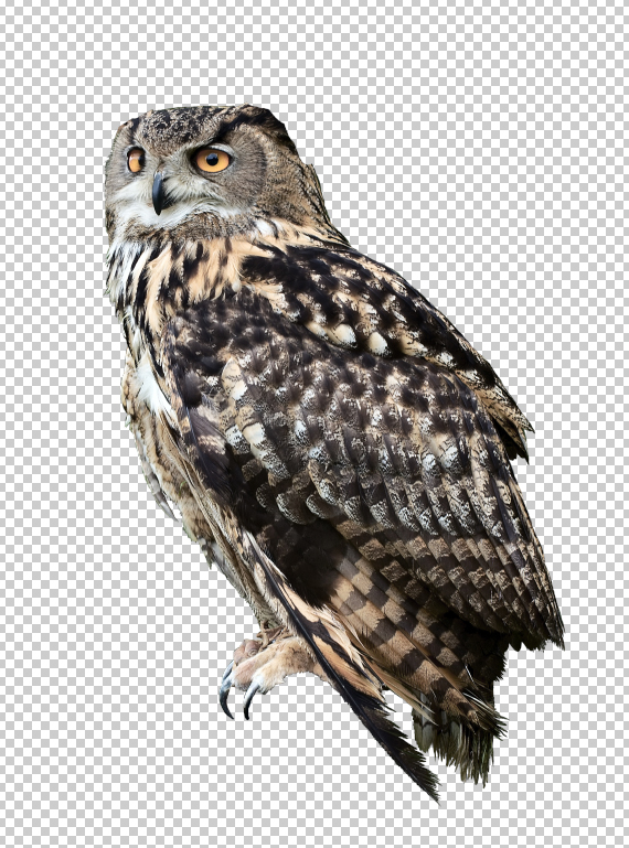 3.1 pixel 77 owl poster tutorial Design Process: How to create a movie poster with Photoshop and Paint Tool SAI