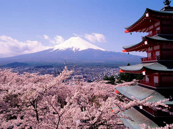cherry blossoms mount fiji The Influence of Japanese Culture in Graphic Design