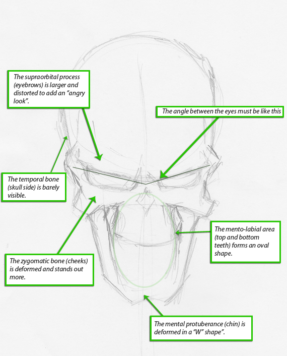 sketch 1 pixel 77 complete guide to draw skulls illustrator A complete guide to drawing evil vector skulls in Illustrator