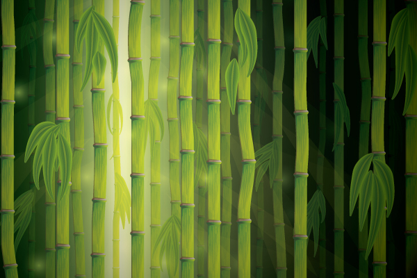 bamboo illustrator tutorial Top 20 Vector Tutorials for Beginners and Advanced Designers
