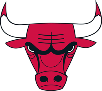 bulls1 Logos: The Face and Heart of a Company