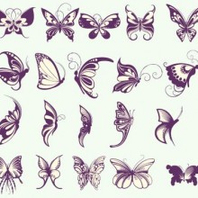 butterflies-2-2