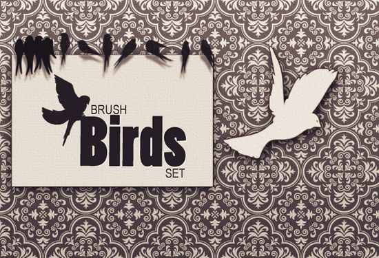 previews brushes birds 1 Lets Bring Spring Into Our Hearts and Designs   Spring Graphic Resources
