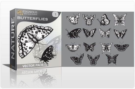 butterfly insect 1 Add Delicate Vector Birds & Butterflies to Your Spring Design Projects 