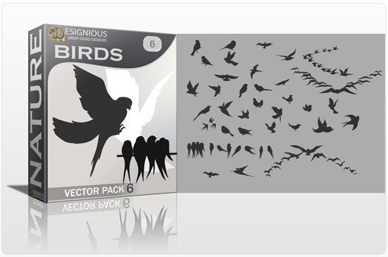designious birds vector pack 6 preview 1 1 Add Delicate Vector Birds & Butterflies to Your Spring Design Projects 