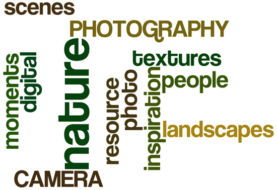 graphic designer internet 41 How to survive as a graphic designer without Internet